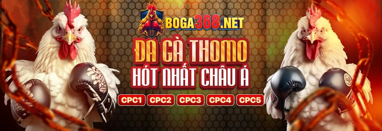 Cá cược bóng đá tại ev888 nhà cái
