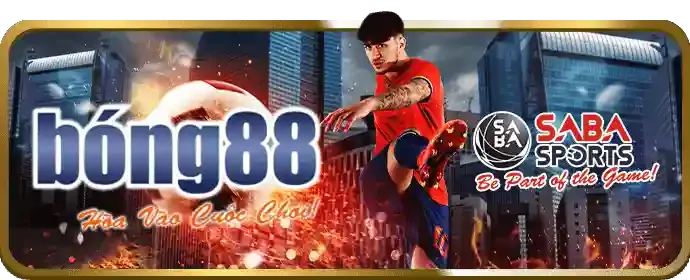 Cộng đồng người chơi EV888 nhà cái